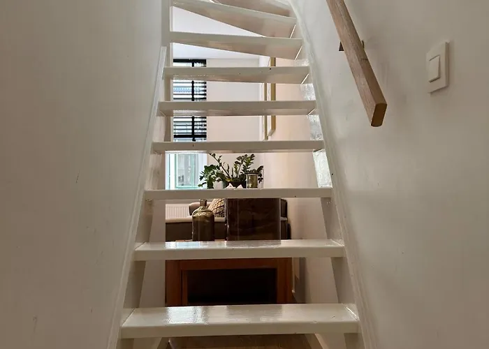 Koningshof Xl 알크마르