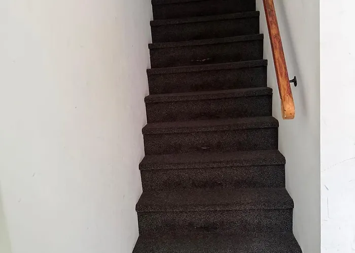 아파트 Koningshof Xl