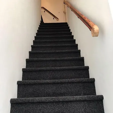 Koningshof Xl * Alkmaar